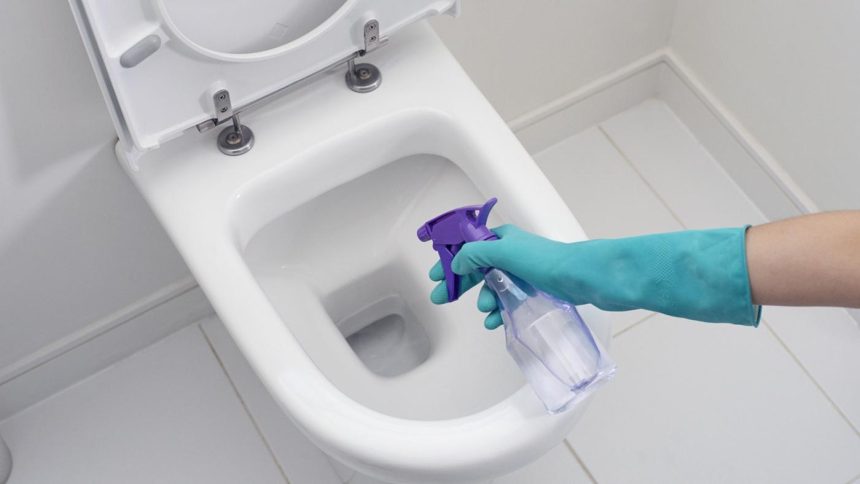 wc jo A mellékhelyiség kitakarítása – legfontosabb pontok