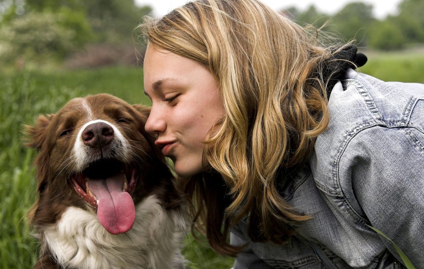 Dog-kiss Kutyapuszi-nem is gondolnád milyen veszélyes!