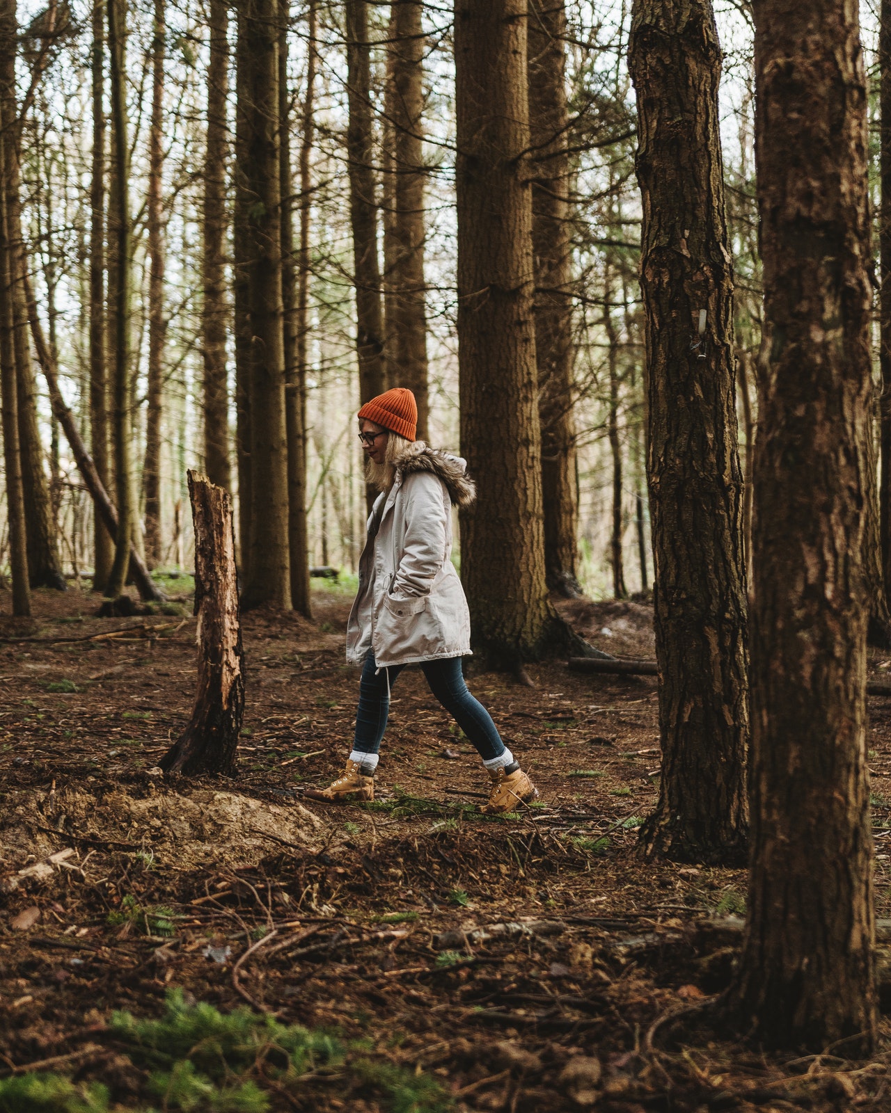 pexels-jack-redgate-3657420 Bezárkózás helyett irány a természet!